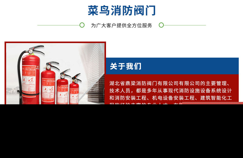 守護(hù)江城安全 帶你了解武漢專業(yè)的滅火器檢修與菜鳥消防器材服務(wù)